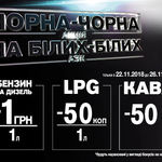Photo #9