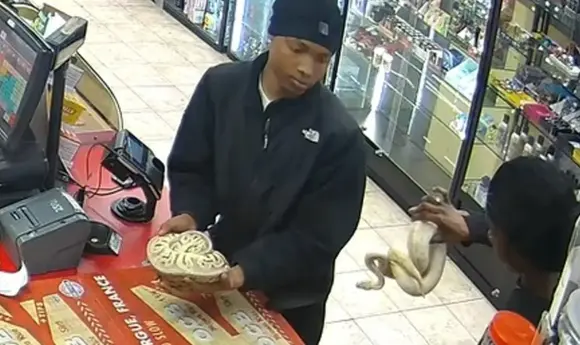 В США пограбували заправку, погрожуючи працівникам зміями