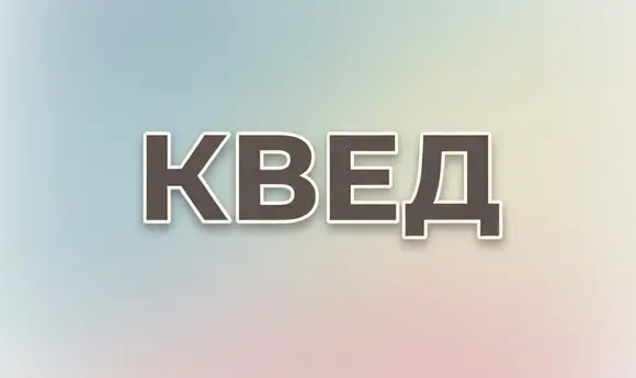 В Україні з 2027 року запрацює нова система КВЕД