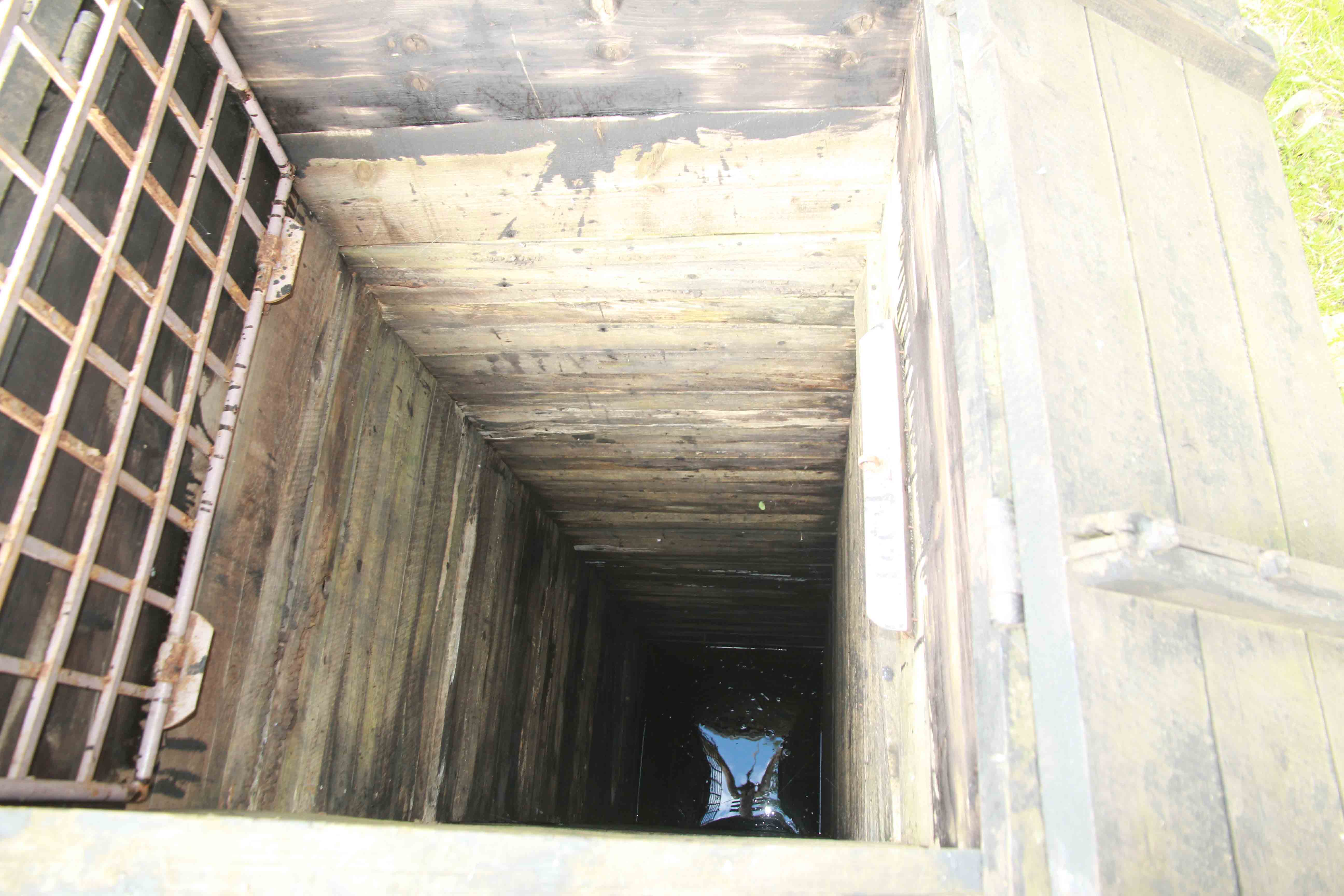 Нефть Довбуша