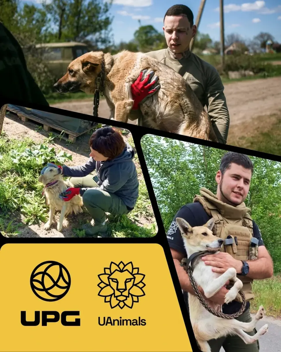 UPG та UAnimals врятували 424 тварини з прифронтових територій